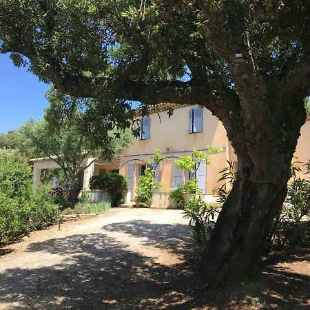 Le Mas Amore Bed and Breakfast Gassin Esterno foto