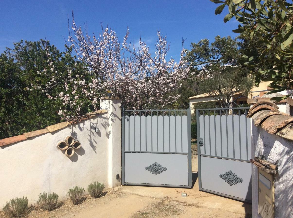 Le Mas Amore Bed and Breakfast Gassin Esterno foto