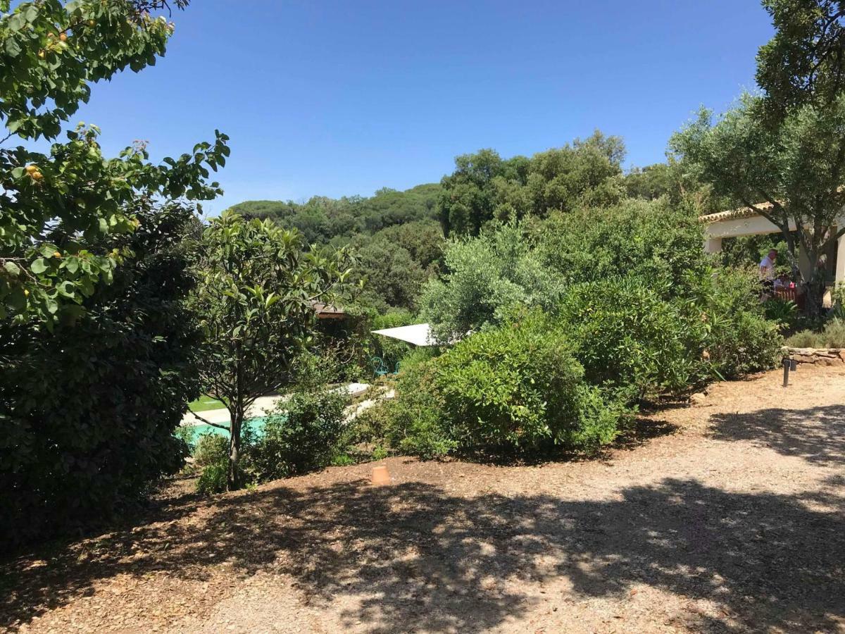 Le Mas Amore Bed and Breakfast Gassin Esterno foto